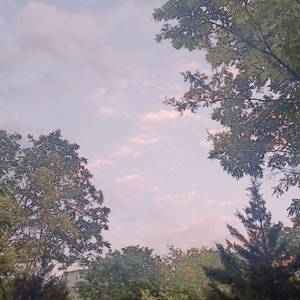 校花扒开🍑给男人玩网站
